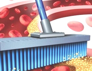 detoxifierea organismului 