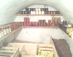 igienizarea beciurilor
