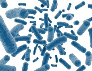 eliminarea bacteriilor